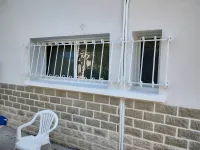 Rénovation d'une grille de défense en fer forgé (webp